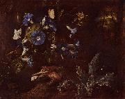 SCHRIECK, Otto Marseus van Blaue Winde, Krote und Insekten oil painting picture wholesale